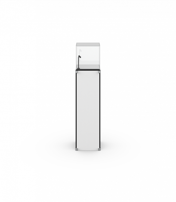 Aufsatzvitrine I 300